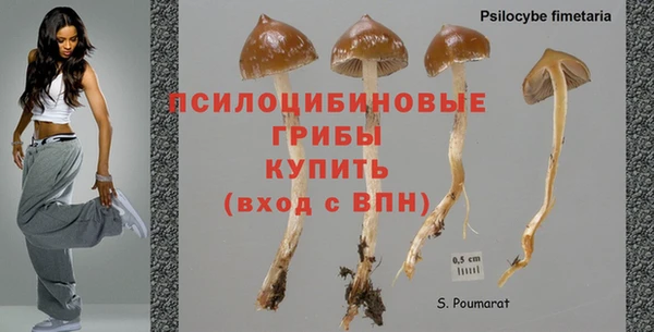 индика Верхний Тагил