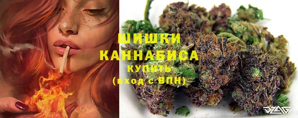 гидропоника Нея