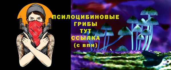 стафф Нефтегорск