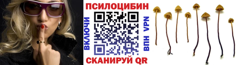 Галлюциногенные грибы Psilocybine cubensis Петрозаводск