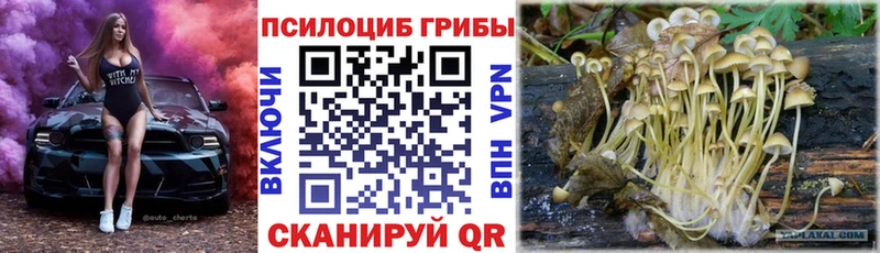 Псилоцибиновые грибы ЛСД  маркетплейс формула  Петрозаводск 